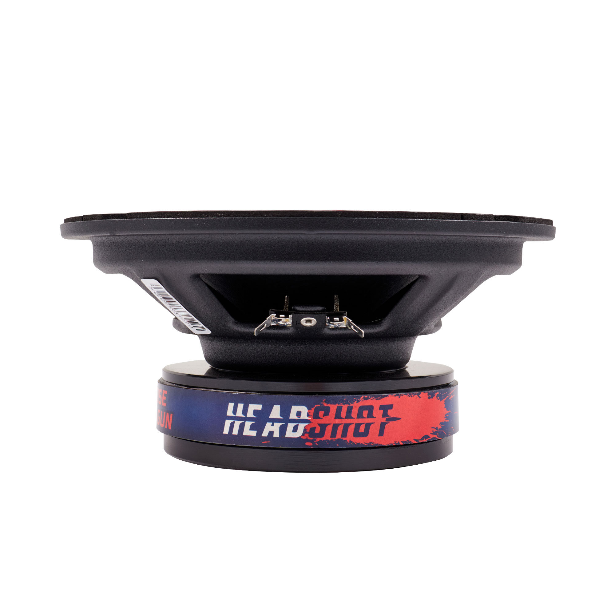 Headshot DM80