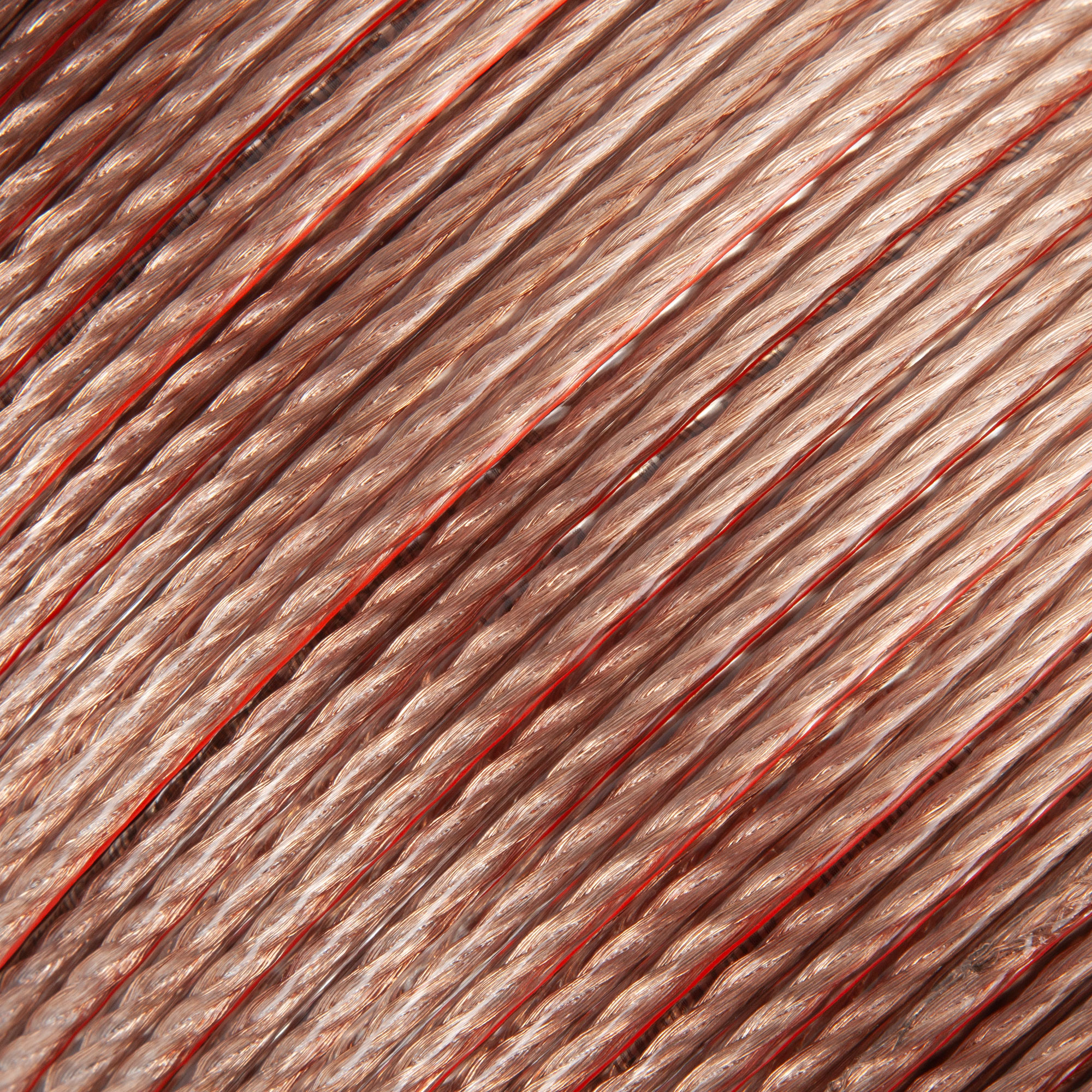 SCC-12100