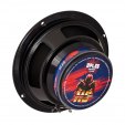 Headshot DPL65
