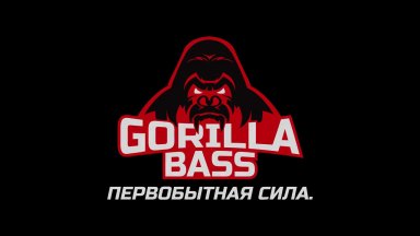 Обзор бразильских усилителей Gorilla Bass by Kicx Sound Group