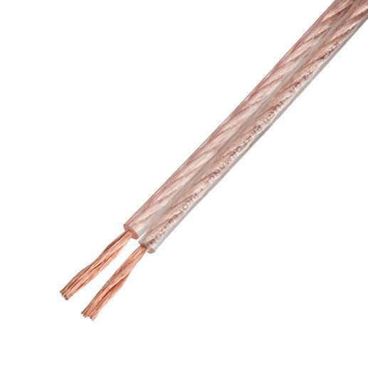 SCC-12100